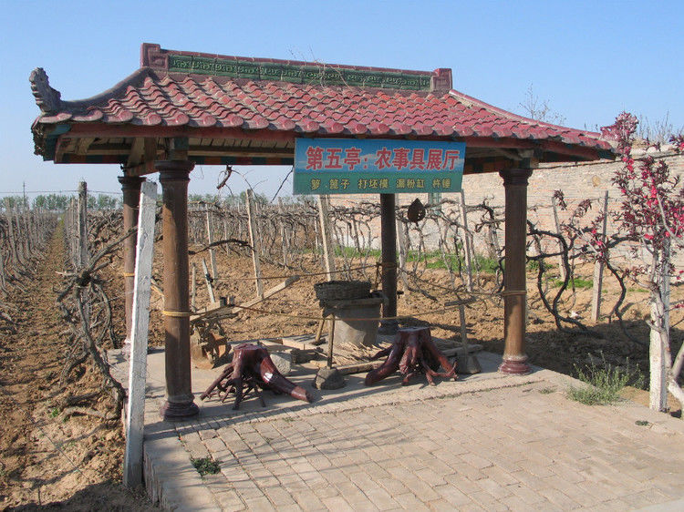 全国仅存的人民公社 无一人外出打工【图】 - 美体、情感、博文精品 - 美体情感、心灵驿站