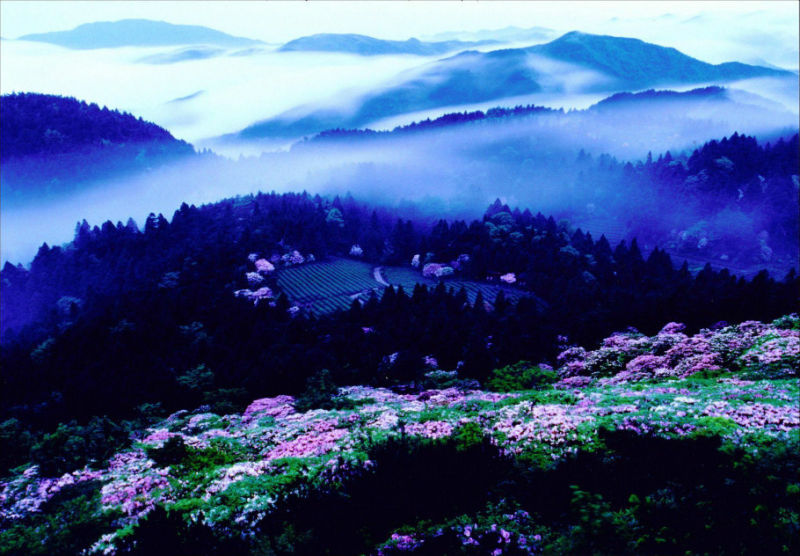 中国112座名山欣赏（二） - 空谷幽兰 - 空谷幽兰憩居