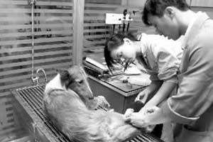 2011年08月28日 - 半妆女子 - 半妆女子