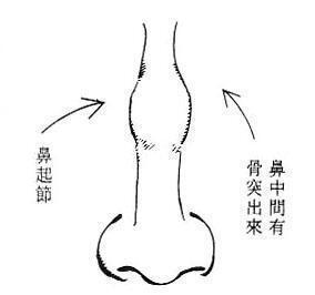 克夫的几种女人鼻子