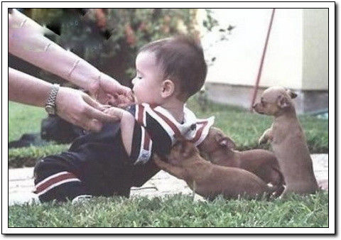 周末要轻松！【幽默图片50P】 - 無為居士 - 聚美齋