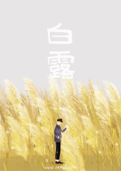 那么美，却匆匆走过 - 王凱 - 王凯的网易博客