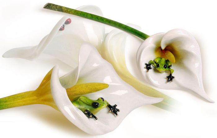 Frog_6 (700x448, 28Kb)