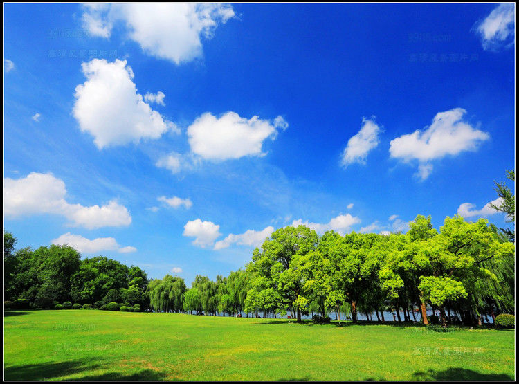 杭州湾风光 - 飞春 - 飞春博客