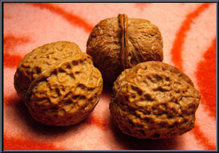 9种食物堪称天然脑黄金！【健康百科】 - 無為居士 - 聚美齋