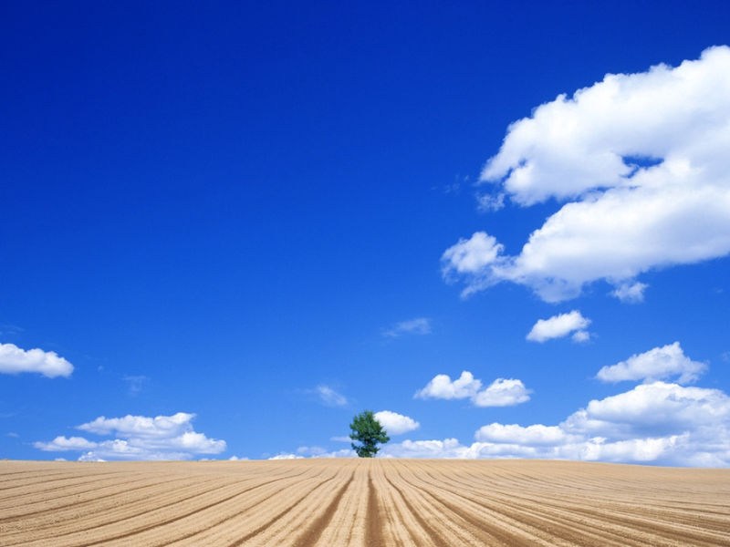 蓝天白云草原 - 雁飞墨行 - 精品博客