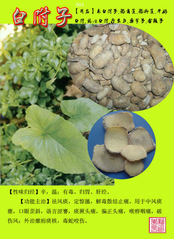 [转载]常用中草药300种图谱