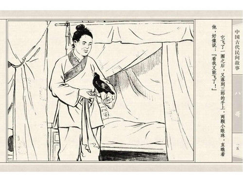 八哥 - shunlin01 - 美术资料与连环画