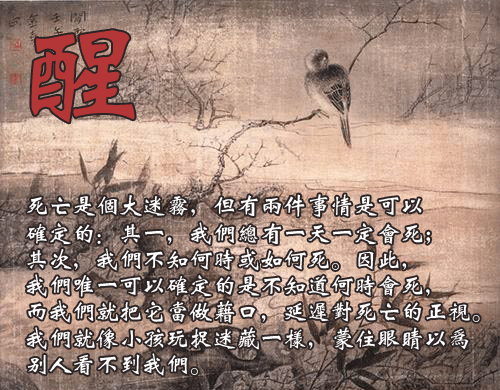 勿多言，多言多败；勿多事，多事多患! - Good fun - Good fun博客