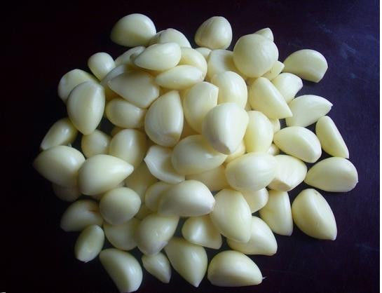 放置一颗洋葱在房间里！ 效果惊人 - 南南 - 阳光南南（看新闻）