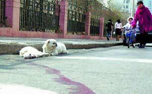 2011年08月28日 - 半妆女子 - 半妆女子