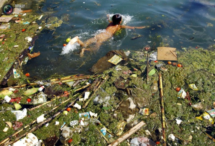 当今社会的“十五怪” - 万德卍吉祥 - 天天幸福成长