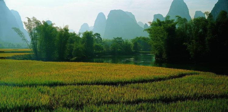 因美丽，而驻足 [图29P] -  