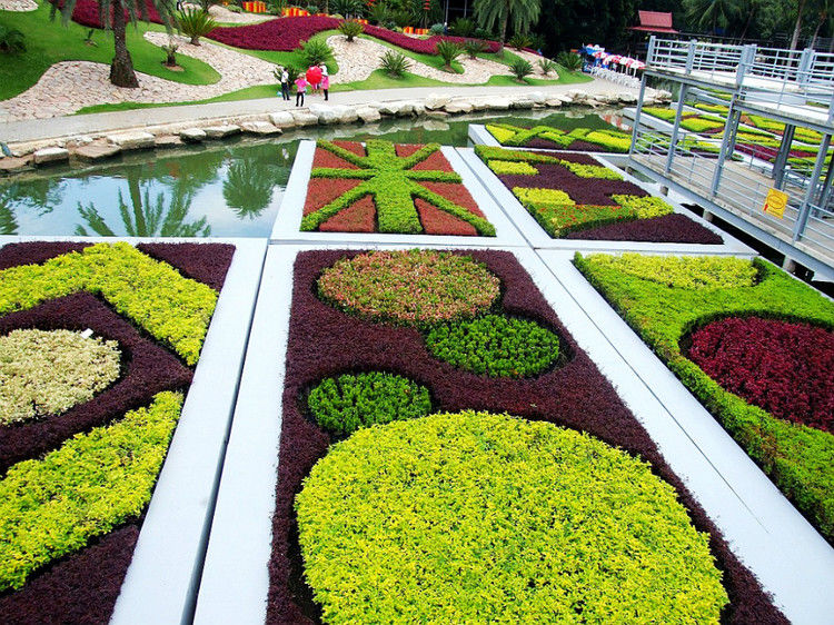 【引用】нуч花园轩弄。泰国 - 枫林傲然 -                  .