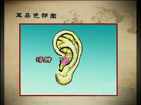 查看更多精彩图片