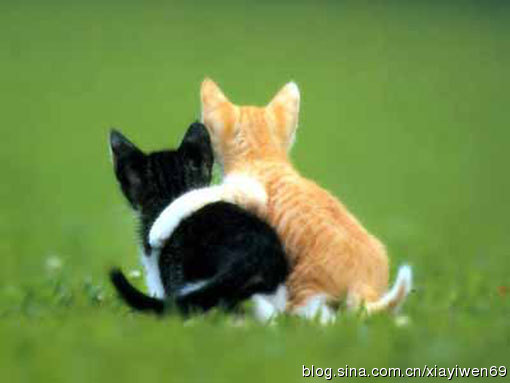 你应该和有这些特点的人绝交