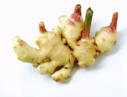 精选实用113个偏方，收藏留着有用！ - 缘水禅心 - 