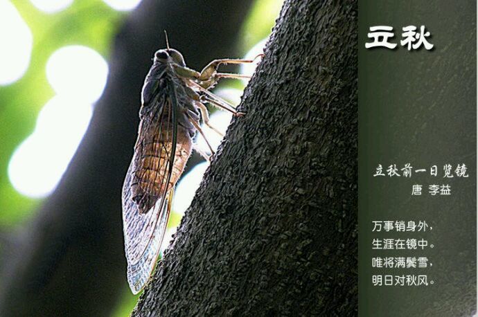 2015年01月23日 - xinlin198 - *平民博客*