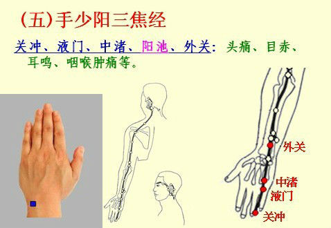 五行经络图加实作，值得收藏！ - 吝色鬼 - 吝色鬼 的博客