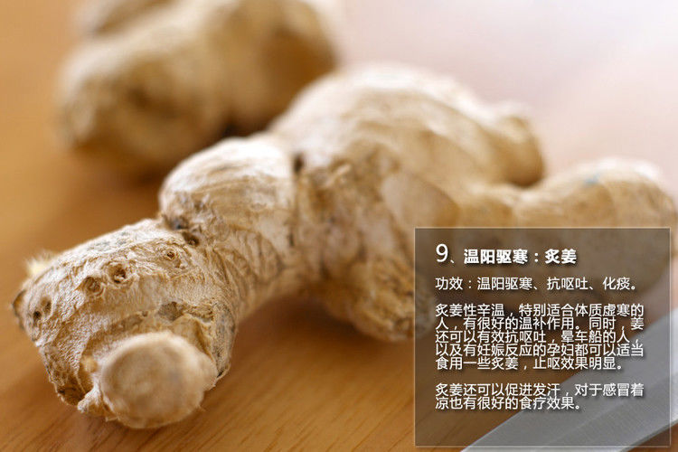 十五种中药最养生 - 锦锦 - 红歌姐姐