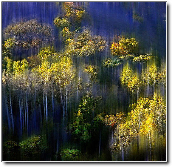 秋旖旎秋色 美不胜收  伊水一方 开心屋