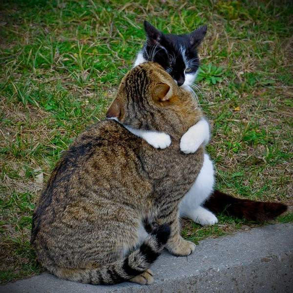害人俗话 - 红芙蓉 - 红芙蓉的博客