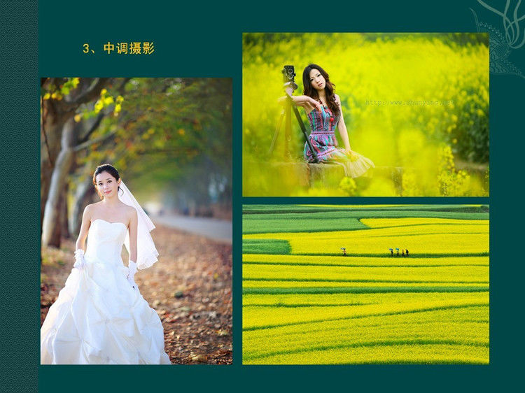 数码摄影入门讲座——摄影用光 - 遨游 - 遨游的博客