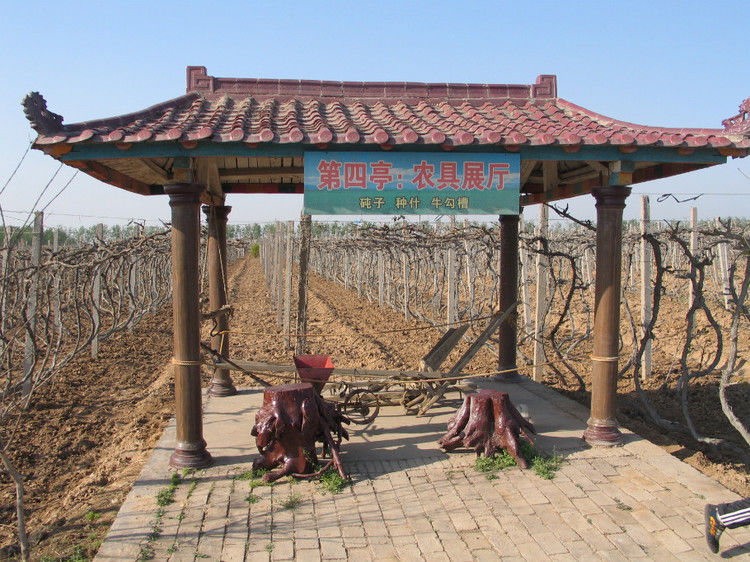 全国仅存的人民公社 无一人外出打工【图】 - 美体、情感、博文精品 - 美体情感、心灵驿站