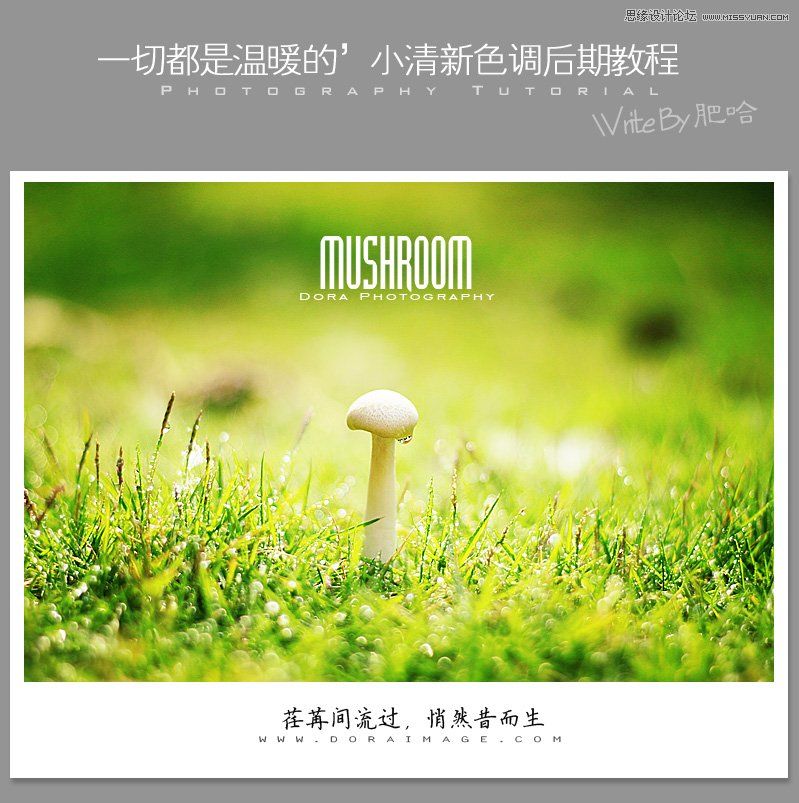 Photoshop调出风景照片唯美的暖色效果