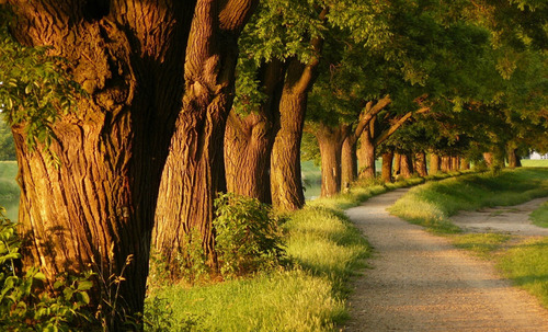 20个不可不知的摄影技巧