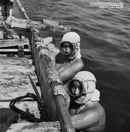 另类裸体：日本海女工作照 - 雪上红叶 - 雪上红叶