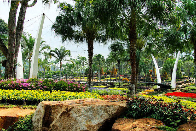 【引用】нуч花园轩弄。泰国 - 枫林傲然 -                  .