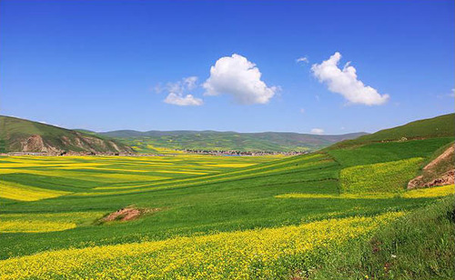 20个不可不知的摄影技巧