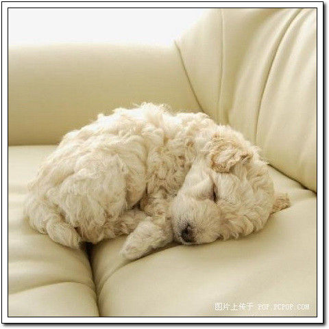 周末要轻松！【幽默图片50P】 - 無為居士 - 聚美齋