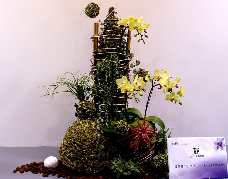 台湾国际兰展欣赏 - 弇山 - 弇山