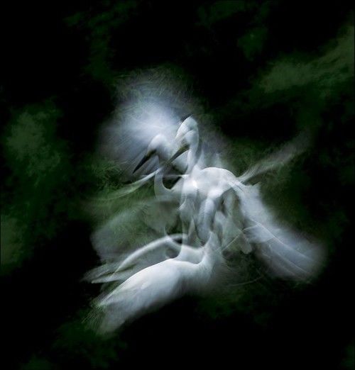 拍糊也是本事：用多重曝光与慢门打鸟