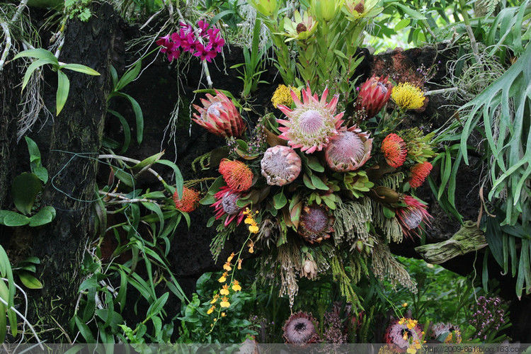 两性人体知识大全！不可不知... - 宝贝梦 - 分享美丽.分享快乐.品味人生