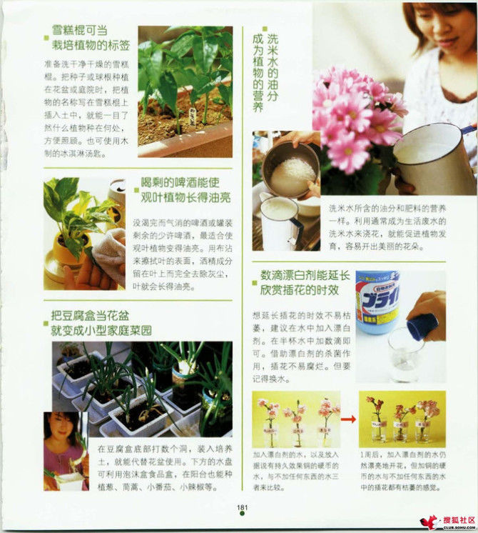 家中小事展现智慧与才艺，天哪，太实用了 - 静水流风 - 蚂蚁闯红灯