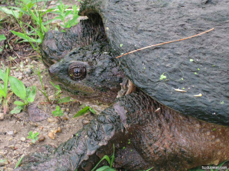 盘点中国神秘事件 至今为止仍然是未解之谜 (28)