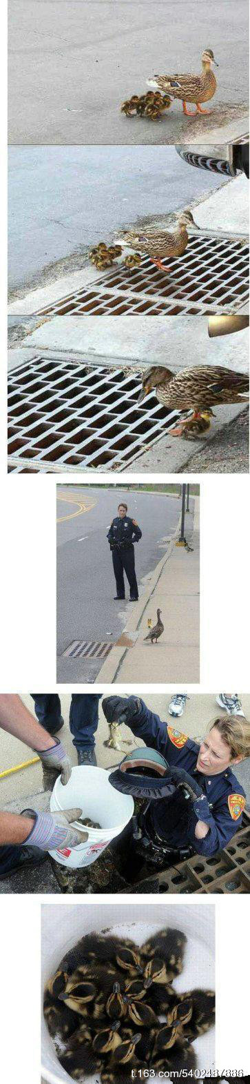 很多人 禽兽不如 - 半妆女子 - 半妆女子