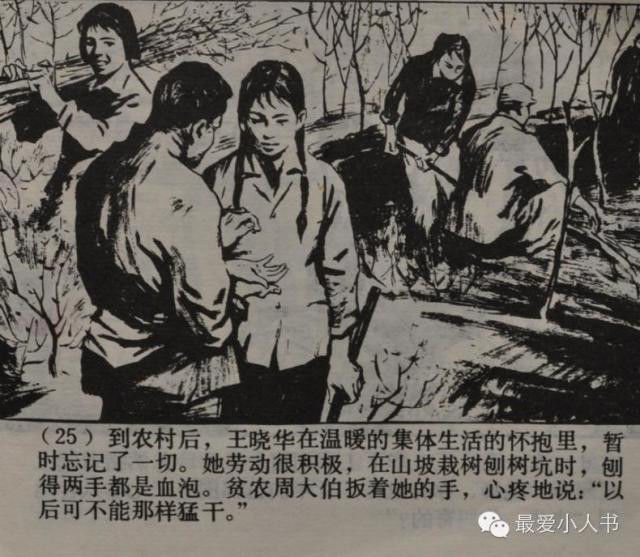 【欣然赏连】上海人美1979初版本齐雁  乐健《伤痕》全图 - 老张 - 老张的书房
