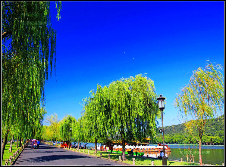 杭州湾风光 - 飞春 - 飞春博客