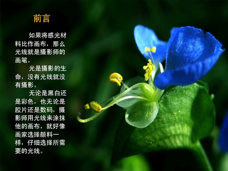 数码摄影入门讲座——摄影用光 - 遨游 - 遨游的博客