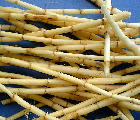 三味药 “赶跑”痛风 - ngycmyc - ngycmyc的博客