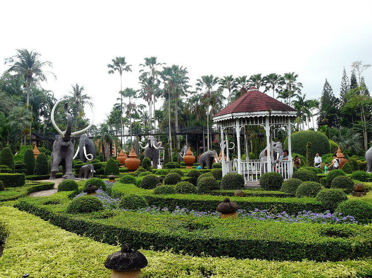 【引用】нуч花园轩弄。泰国 - 枫林傲然 -                  .