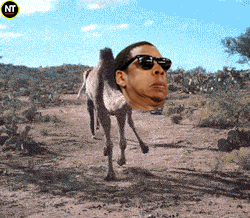 2014世界最纠结事件排行榜，微博圈转疯了！ - 王凱 - 王凯的网易博客