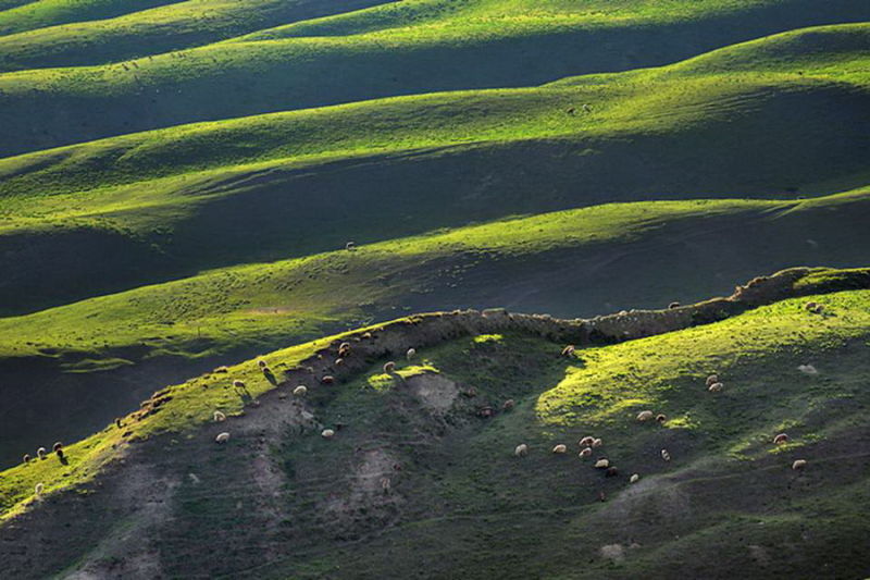 FJ073新疆美丽的高山牧场【26】 - PPT园地 - 永平的博客