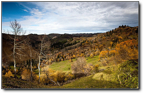 秋旖旎秋色 美不胜收  伊水一方 开心屋