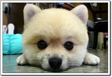 周末要轻松！【幽默图片50P】 - 無為居士 - 聚美齋