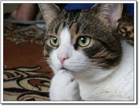 周末要轻松！【幽默图片50P】 - 無為居士 - 聚美齋